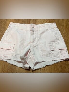 🩷 American Eagle 90s Boyfriend Short Pink | Size 4 High Rise Cargo Shorts | NWT